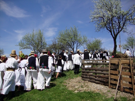 Udătoriul din Şurdeşti